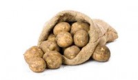 PATATA KENEBECK